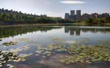 合肥市大蜀山森林公園南湖：綜合治理，再現(xiàn)美麗湖景