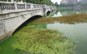 合肥市大蜀山森林公園南湖